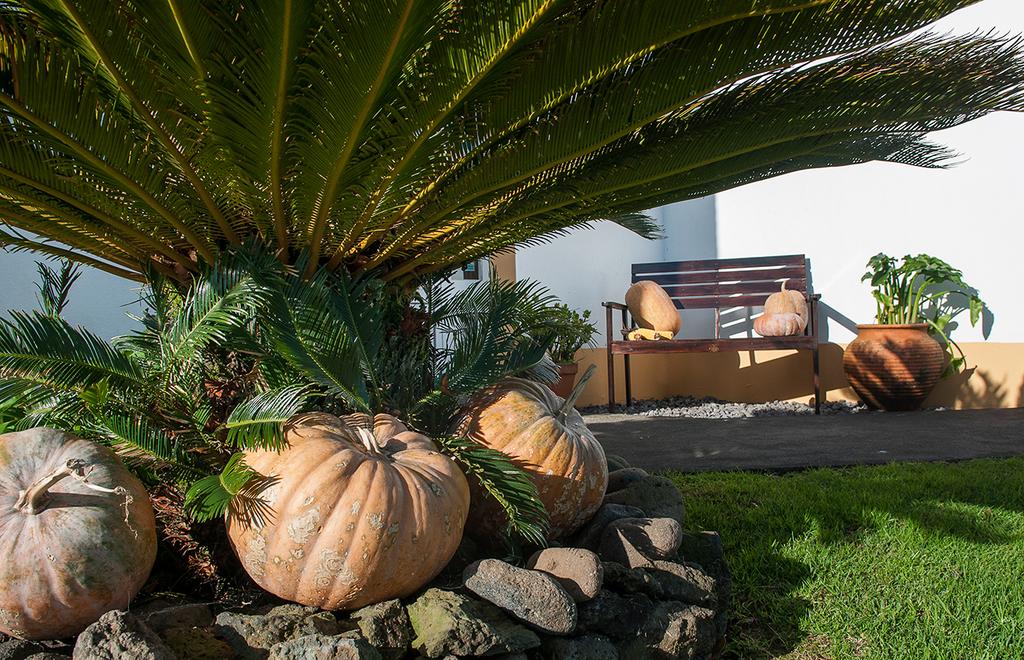 Guesthouse view garden Faial