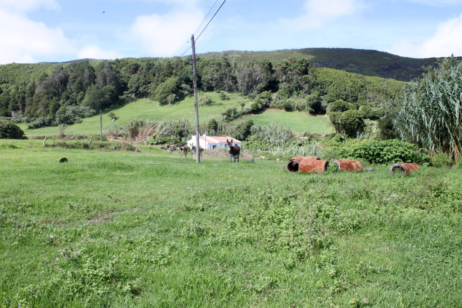 urban building plot Faial