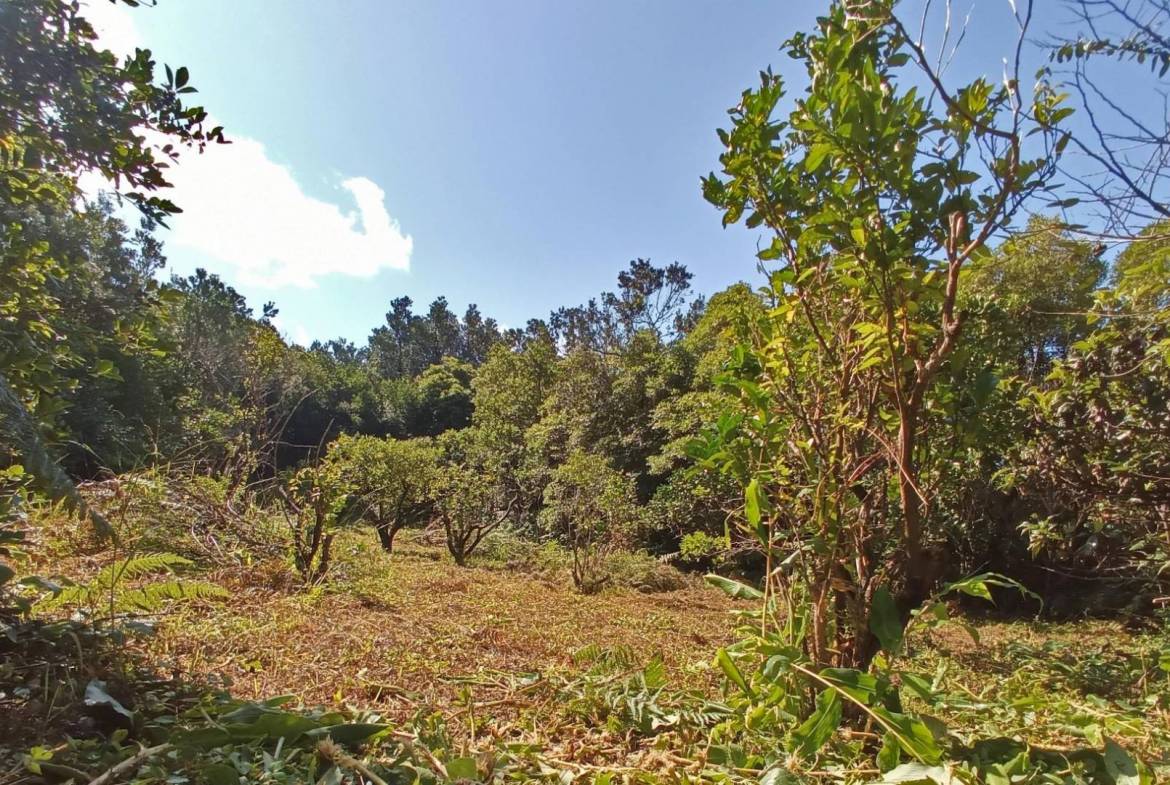 building plot location Faial