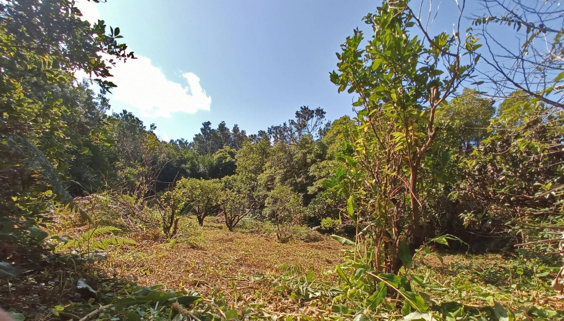 building plot location Faial