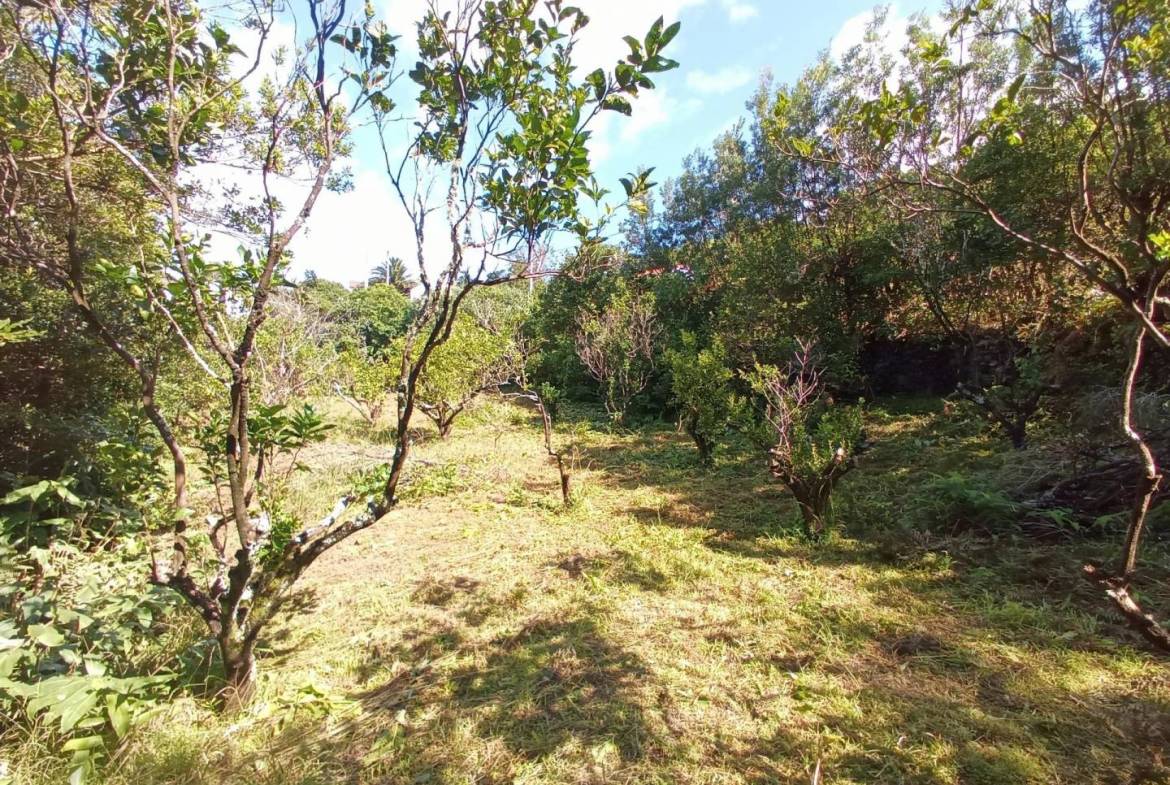 building plot location Faial