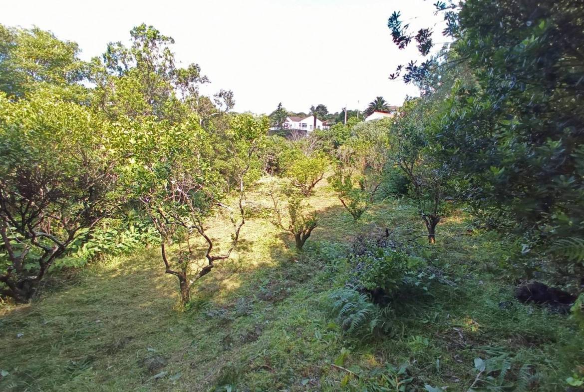 building plot location Faial