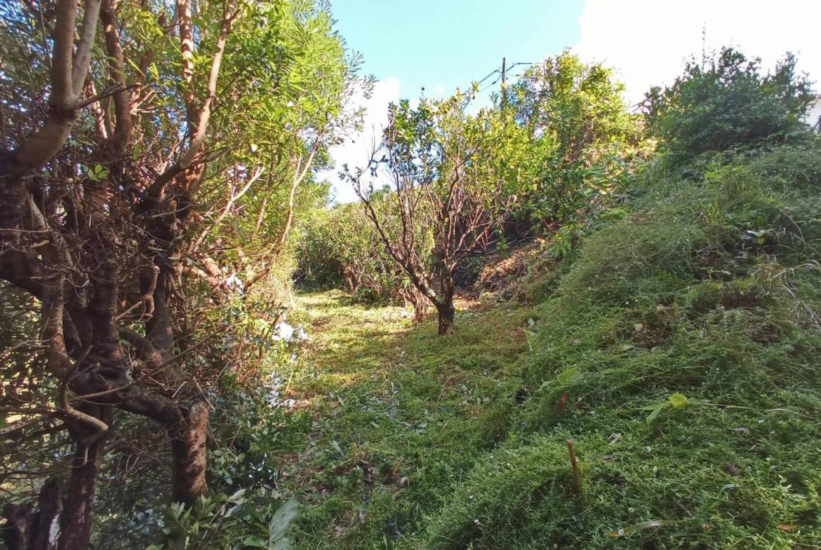 building plot location Faial