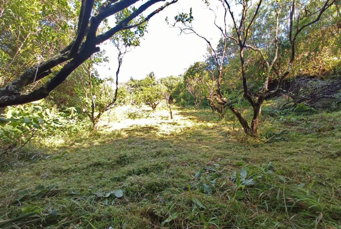 building plot location Faial