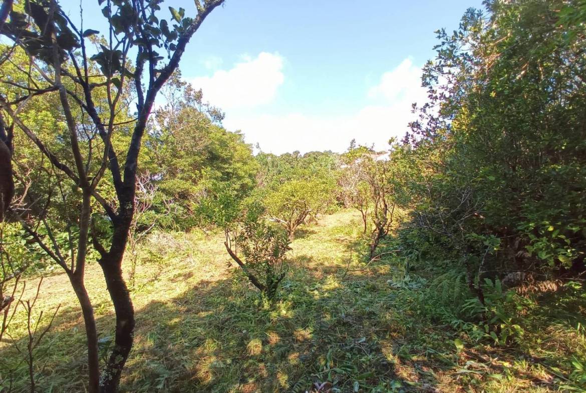 building plot location Faial