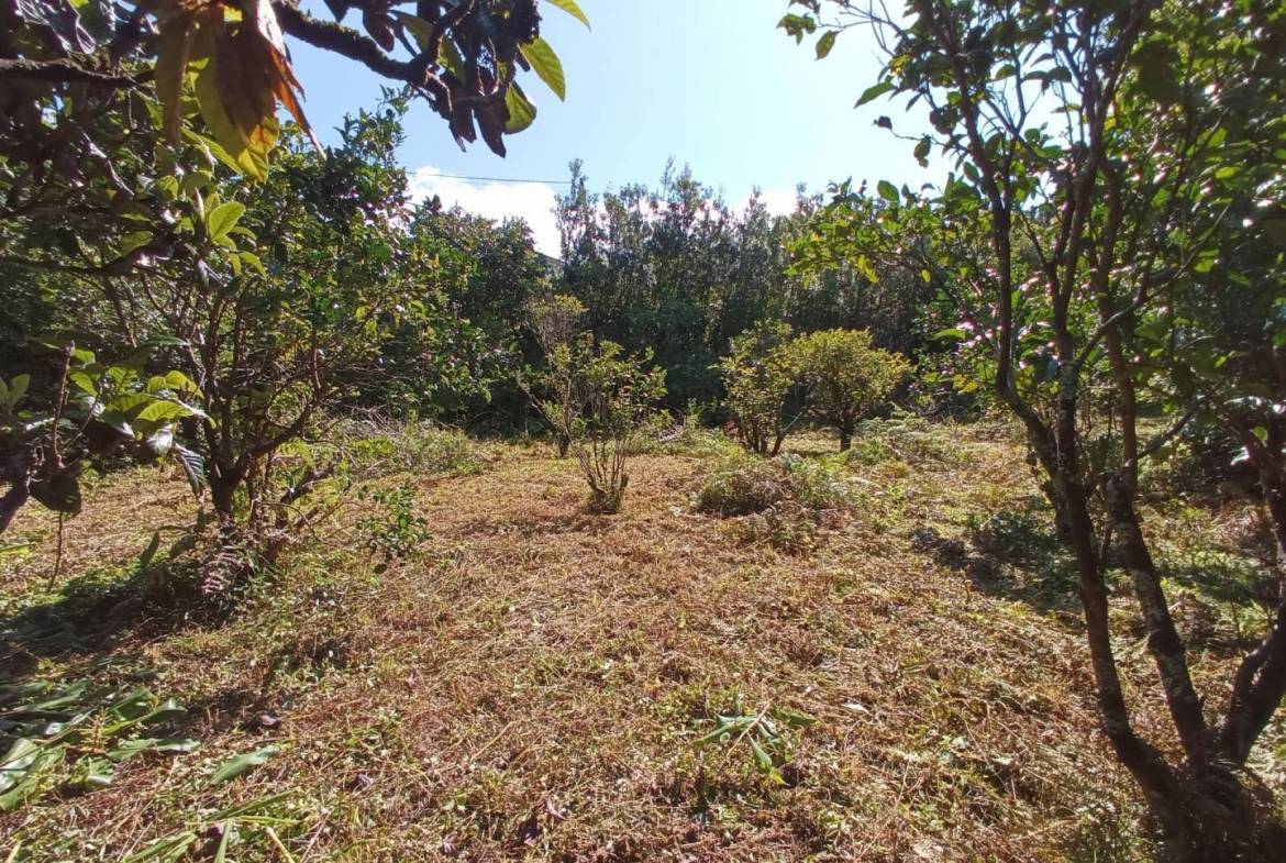 building plot location Faial