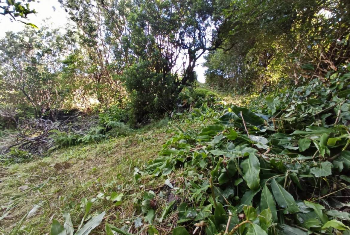 building plot location Faial