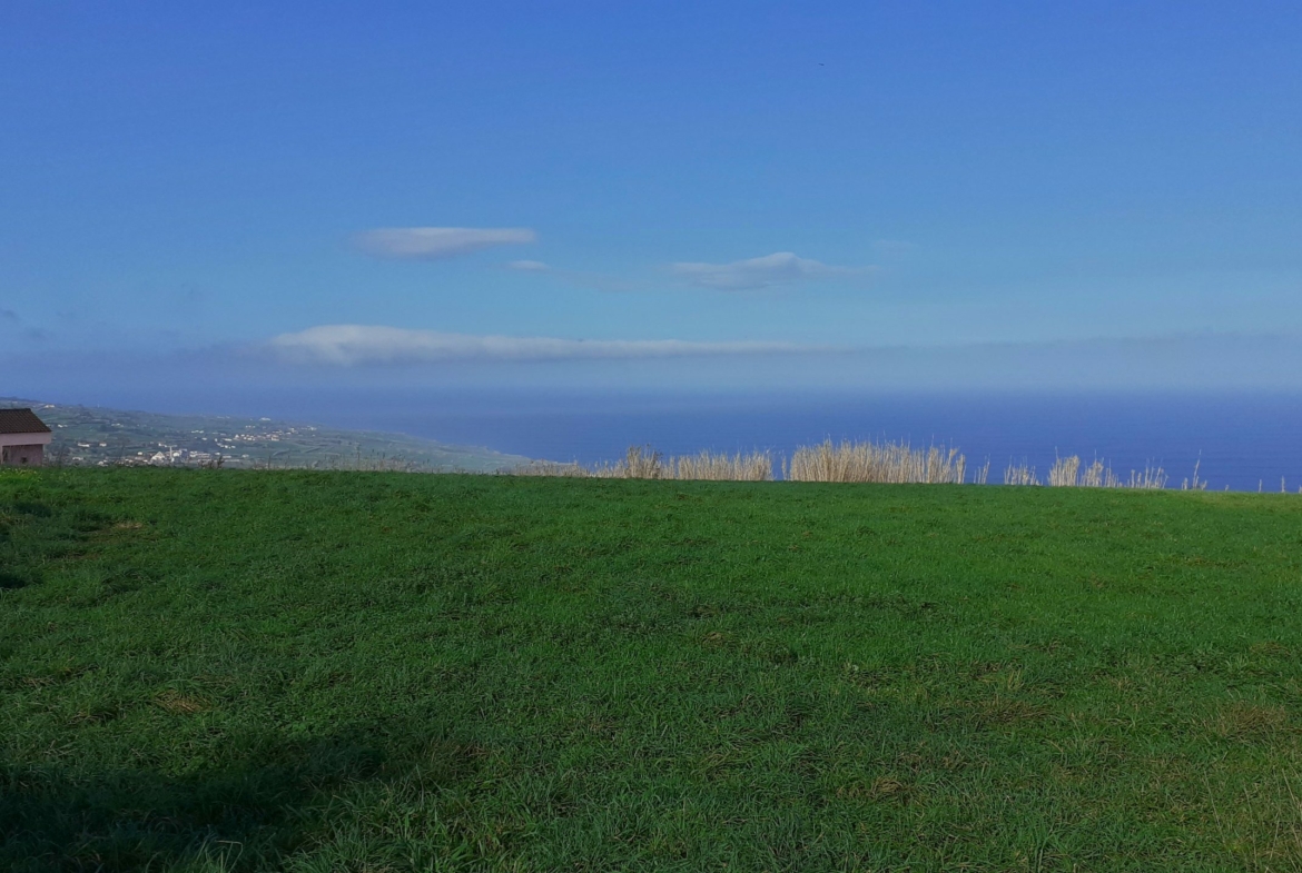 plot views privacy faial