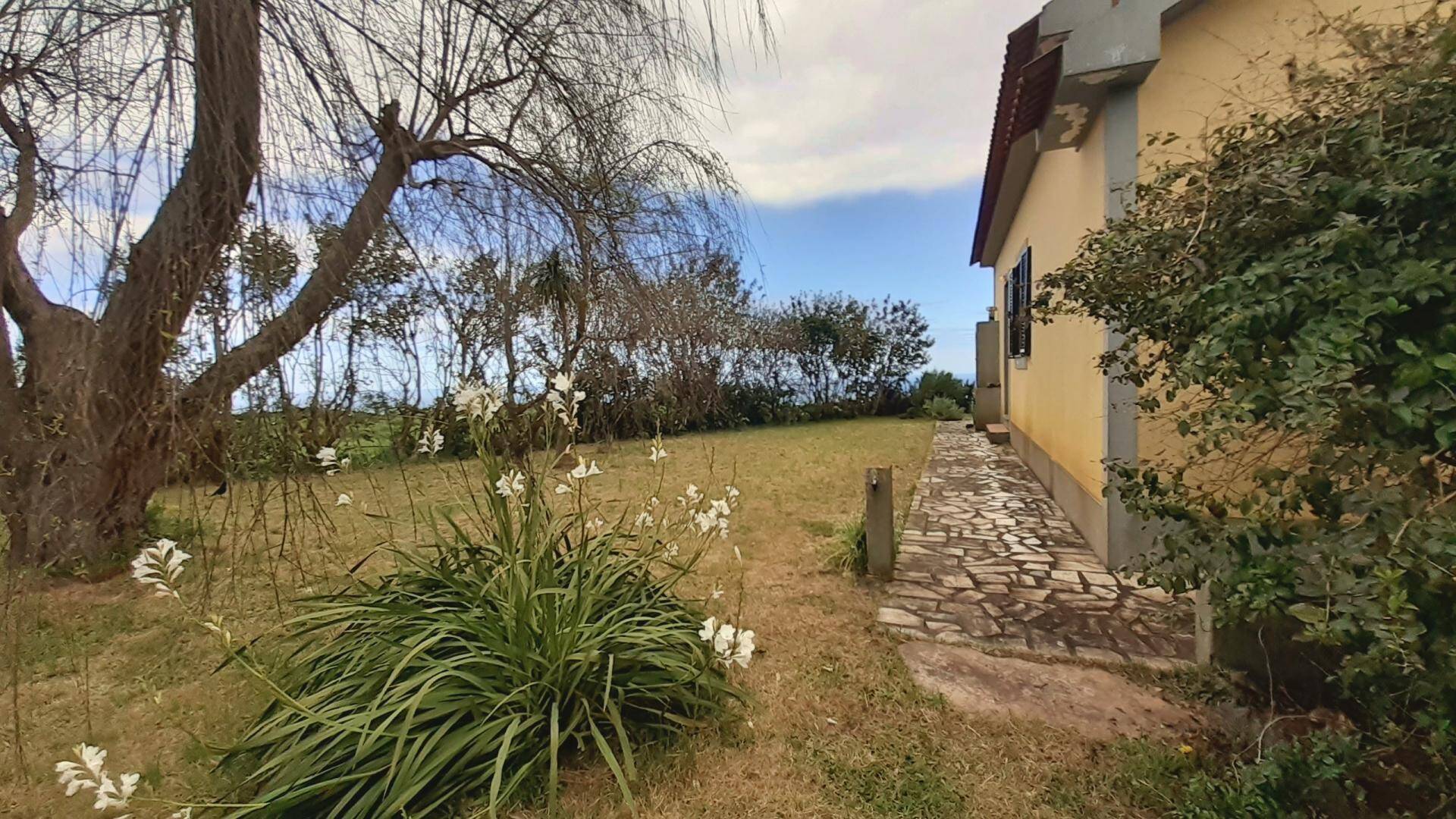 house tropical garden views