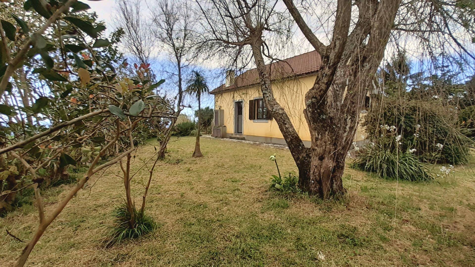 house tropical garden views