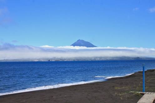 summer faial island welcoming