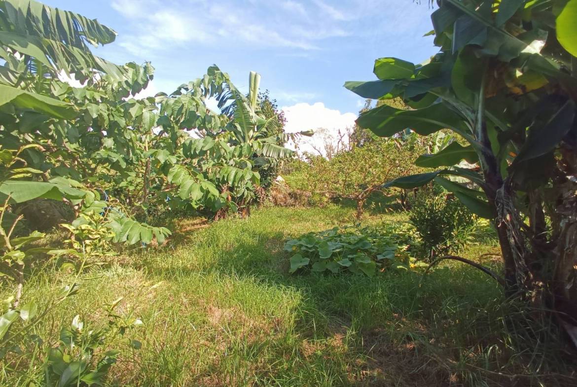 bedroom house garden Faial