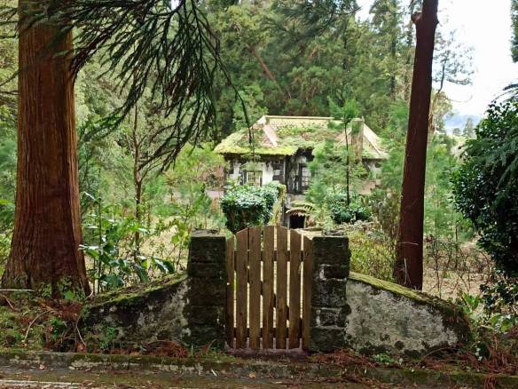 offgrid house forest Faial