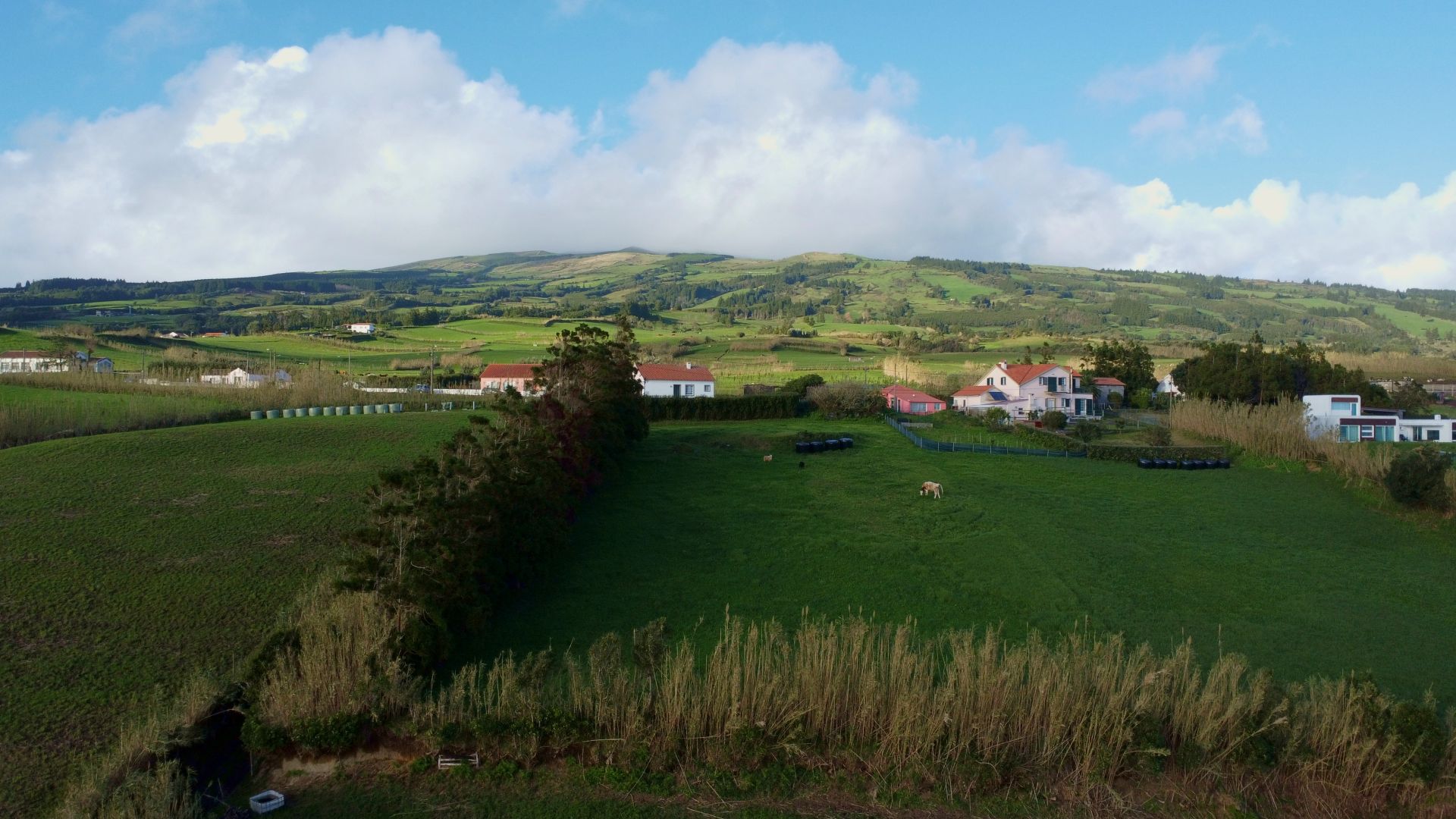 land ruin project faial