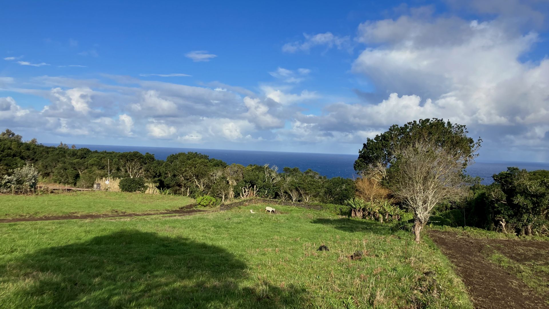 land building natural landscape